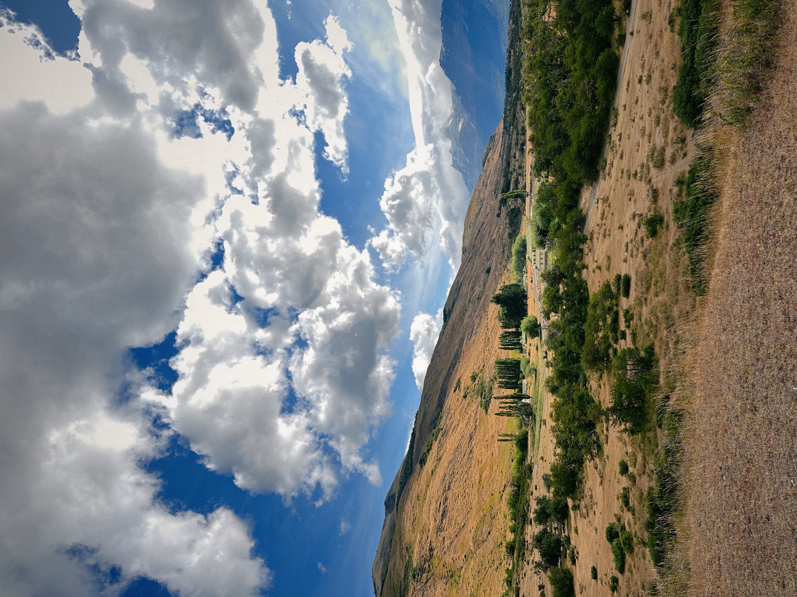 Patagonia